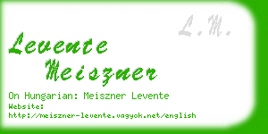 levente meiszner business card